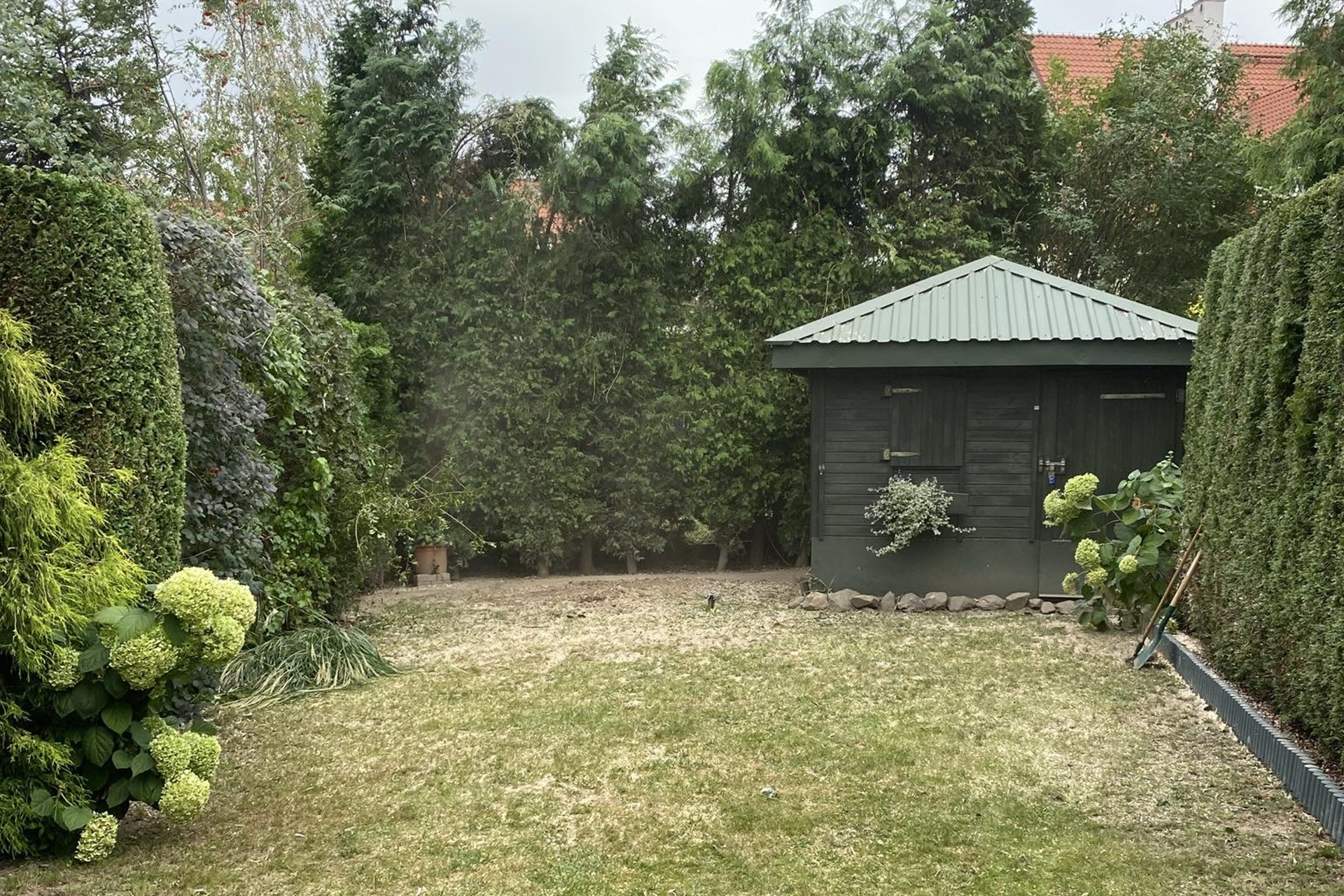 Regularne koszenie traw - dlaczego ma kluczowe znaczenie dla kondycji ogrodu?