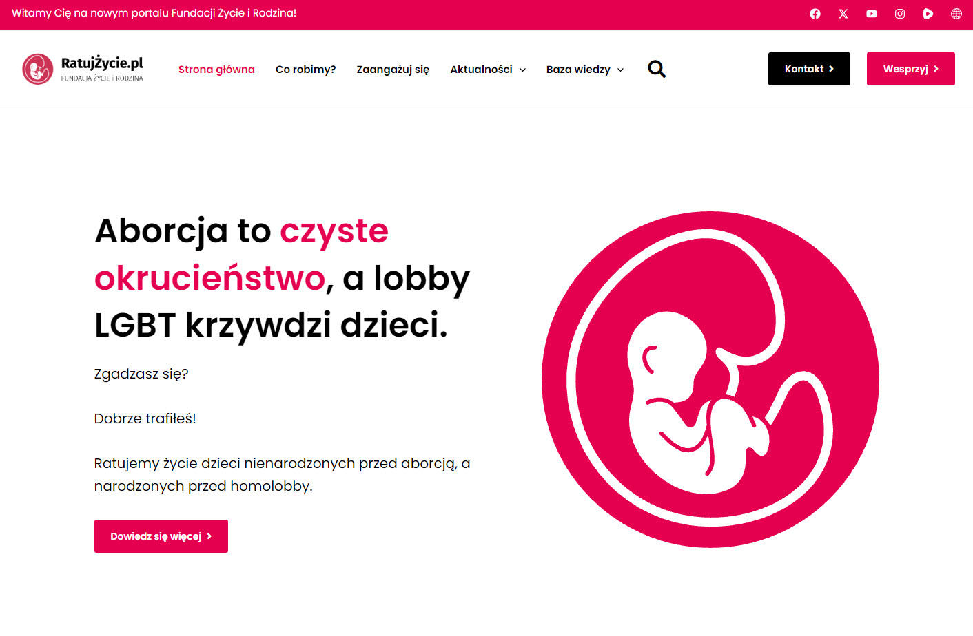 Ośrodki wsparcia i infolinie prowadzone przez fundacje pro-life - na czym polegają i komu pomagają